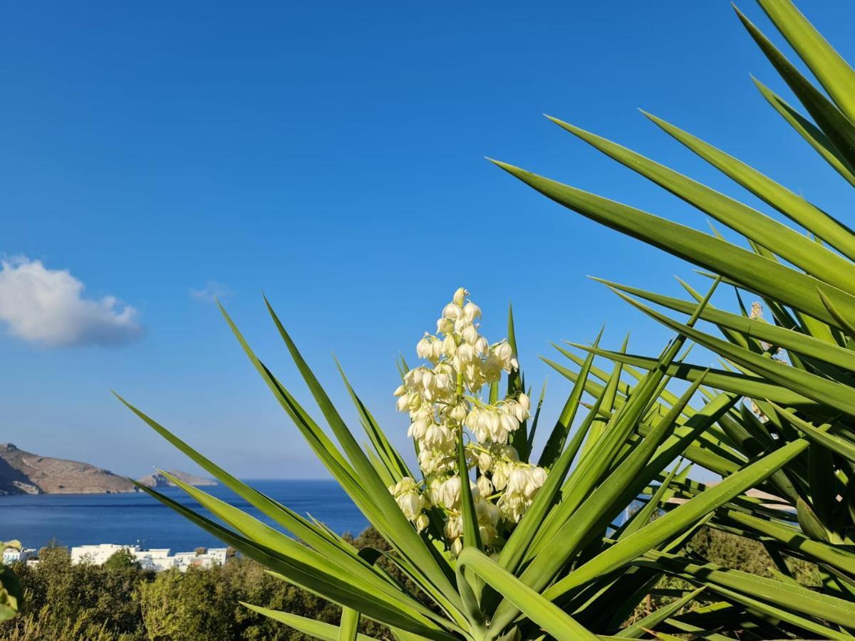 Tilos Villa Livadia  Екстер'єр фото